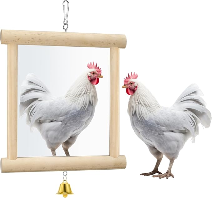 Sadnyy Extra Large Chicken Mirror Toys Hanging Swing Double Side Mirror with Bell Wooden Pecking Toy for Hens Birds Parrots Coop Roosters Enrichment Toy for Poultry(Square, Wood, 1pcs)