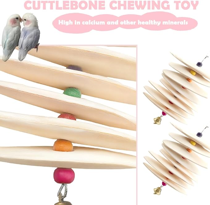 DQITJ 2 Pack Bird Cuttlebone Calcium Supplement Chewing Toy Beak Grinding Stone Natural Bird Toy with Bell for Parakeet Cockatiel Budgie Conure Sharp Beaks (8 Pcs in a Bunch)