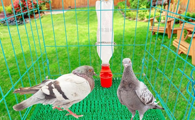 10 Pcs Bird Drinker Feeder Plastic Soda Pop Water Bottle Cup Pigeon Water Bottle Feeder for Cage for Chicken Pigeons Birds (Plastics, 10pcs)