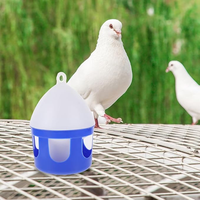 Angoily Pigeon Water Feeder 6.3 Inch Detachable Bird Water Dispenser for Pigeons Quail and Small Birds Easy Clean Outdoor Bird Feeder Accessories