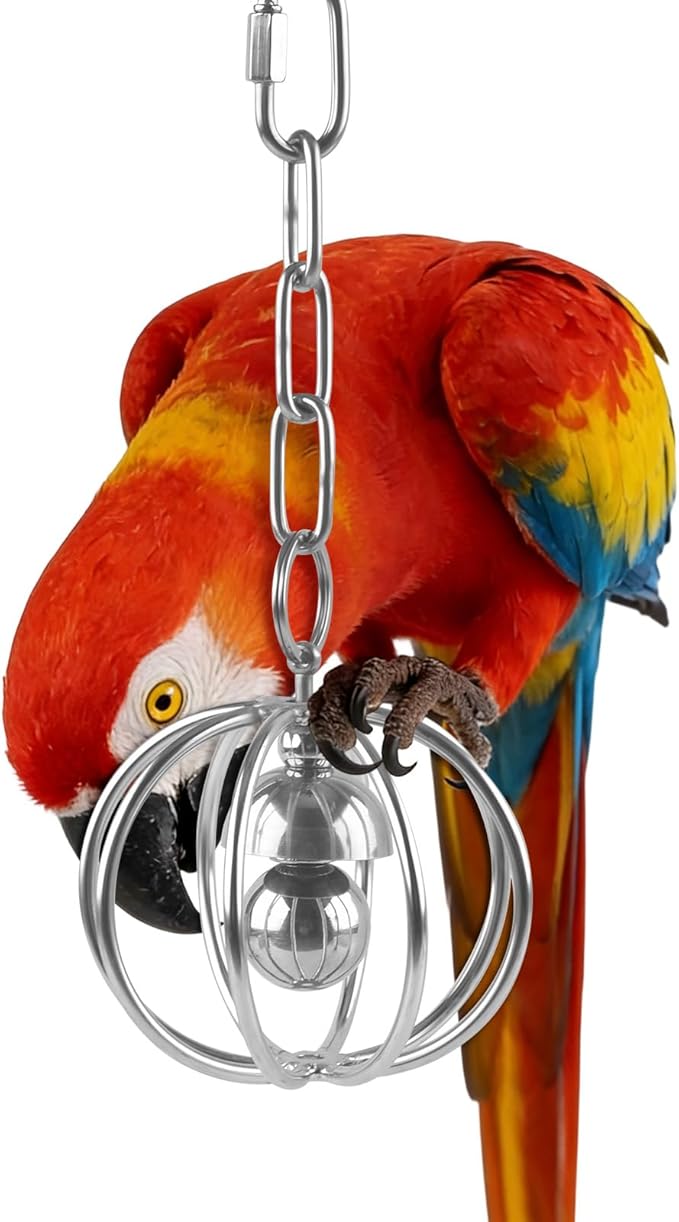 DBNESS Heavy-Duty Stainless Steel Bird Toy for Parrots, Durable Hollow Foraging Ball with Detachable Chain, Chew-Proof Parakeet Training Toys for Macaws, Amazons, Eclectus, African Greys, Cockatoos