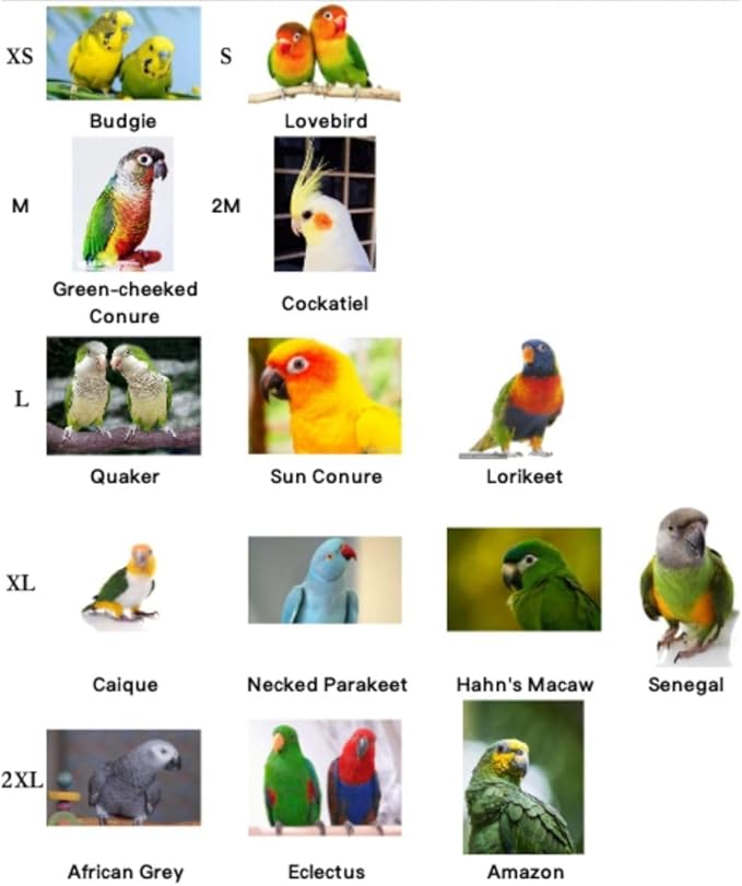 Bird Neck Collar Pet Parrot Anti-bite Picking Feather Healing Protective Neck Cover Collar for Lovebird Macaw Conure Cockatoo African Grey Random Color (XL)