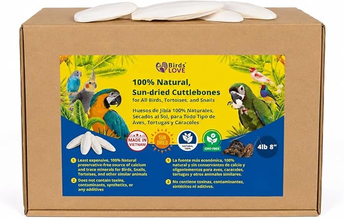 Birds LOVE 7.5-8" Cuttlebones for Birds – 100% Natural Sun-Dried Calcium & Beak Conditioning Supplement for Parakeets, Budgies, Cockatiels, Finches & Canaries – 4 lb with Holder – Made in Vietnam