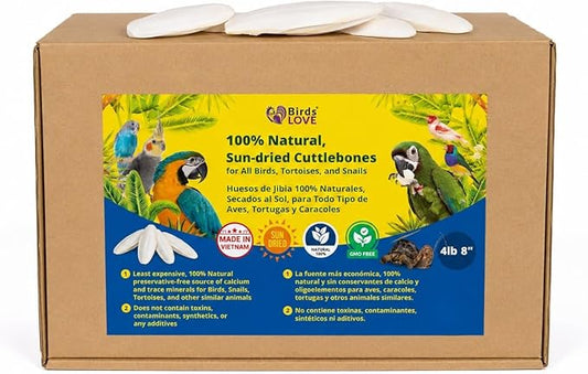 Birds LOVE 7.5-8" Cuttlebones for Birds – 100% Natural Sun-Dried Calcium & Beak Conditioning Supplement for Parakeets, Budgies, Cockatiels, Finches & Canaries – 4 lb with Holder – Made in Vietnam