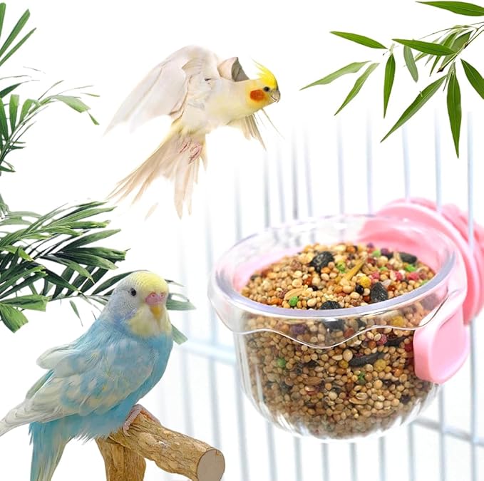 2 Pack Bird Feeding Dish Cup Water Bowl Cage Feeder Accessories for Canary Finch Parakeet Budgie Cockatiel Lovebird