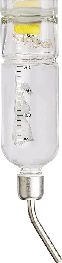 Trixie Honey and Hopper Glass Water Bottle, 250 ml