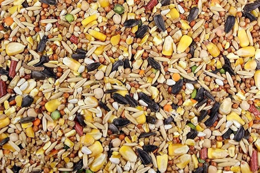 Chicken Feed, Whole Ingredient Chicken Treat, Wied Variety of Grains Poultry Feed (10 Pound (Pack of 1), Singer Mix)