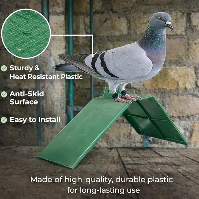 plplaaoo 10PCS Plastic Dove Rest Stand – Anti Skid & Heat Resistant Pigeon Perch for Racing Birds – Green Roost Holder for Bird Cages, Doves, and Parrots