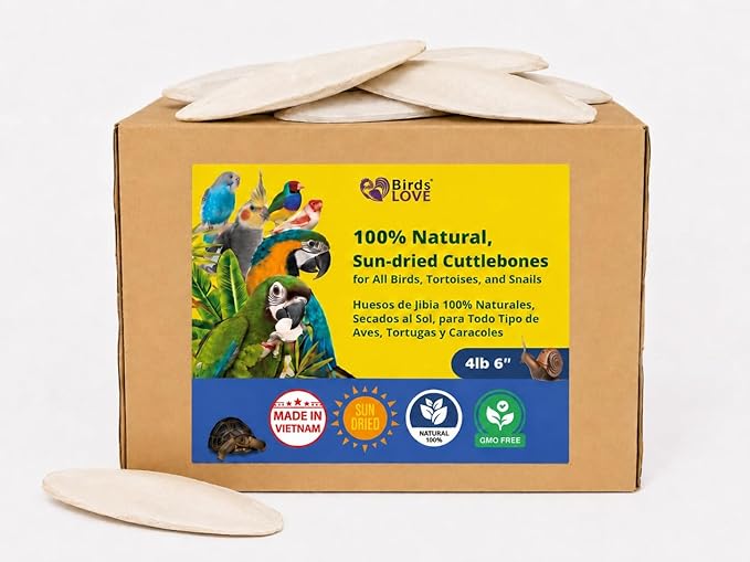 Birds LOVE 5.5-6″ Cuttlebones for Birds – 100% Natural Sun-Dried Calcium Carbonate Mineral Supplement – for Parakeets, Budgies, Cockatiels, Finches & Canaries – 4 lb with Holder – Made in Vietnam