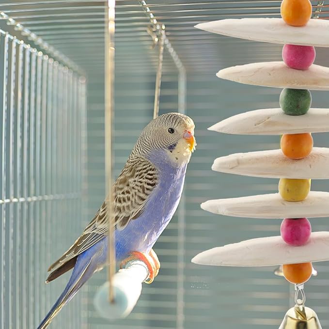 DQITJ 2 Pack Cuttlebone Chew Toy Natural Calcium Cuddle Bone Bird Beak Grinding Toy for Small Bird Budgie Cockatiel Lovebird Parakeet