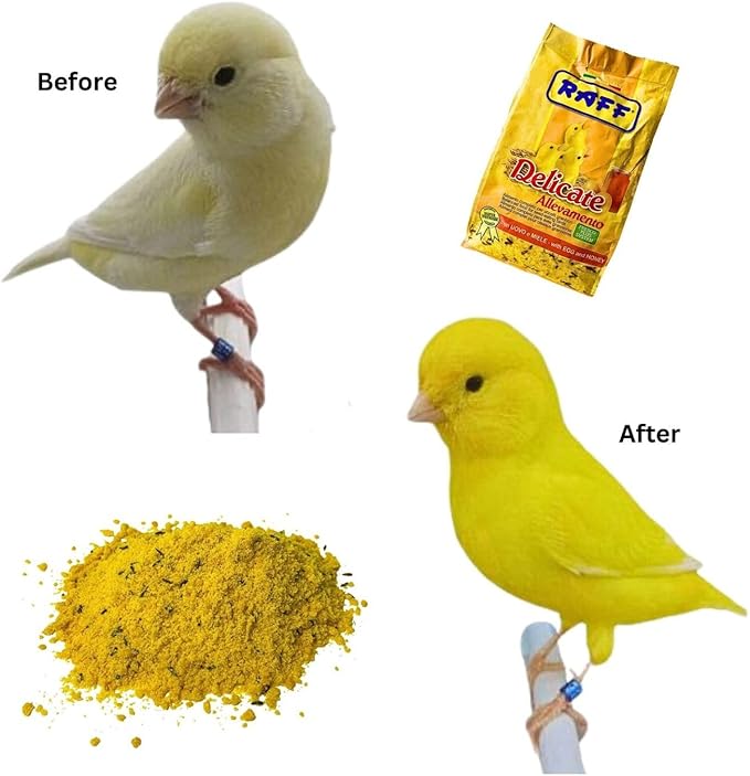 RAFF Delicate Allevamento 500g Bird Food - Nutritious Egg and Honey Paste Bird Treat for Canaries, Parakeets, Finches, Cockatiels, and Lovebirds - Supports Breeding and Year-Round Health