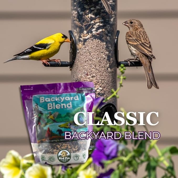 Bird Pro Classic Bird Seed (10 Pounds, Backyard Blend)