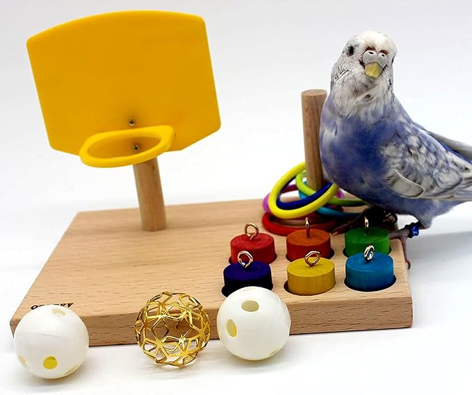 QBLEEV Bird Toys - Budgie & Parrot Training Toys, Color Ring Sets, Chew Ball & Play Gym