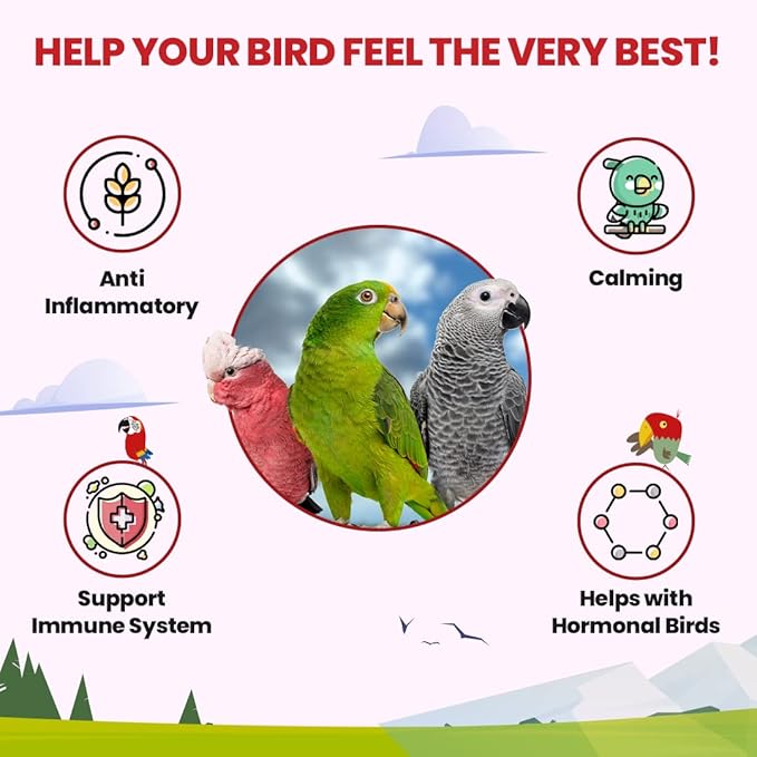 Bird Street Bistro Parrot Tea 3oz - Parakeet & Cockatiel Food Vitamin Substitute - Bird Health Supplies - Bird Food Topper (0.1875 Pound, Halcyon Tea)