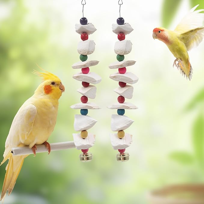 2 Pack Bird Toys with Cuttlebone, Parakeet Toys, Bird Beak Grinding Stone, Cage Accessories for Parakeets, Cuttlefish Bone for Budgies, Cockatiels, Lovebirds, Quakers, Small to Medium