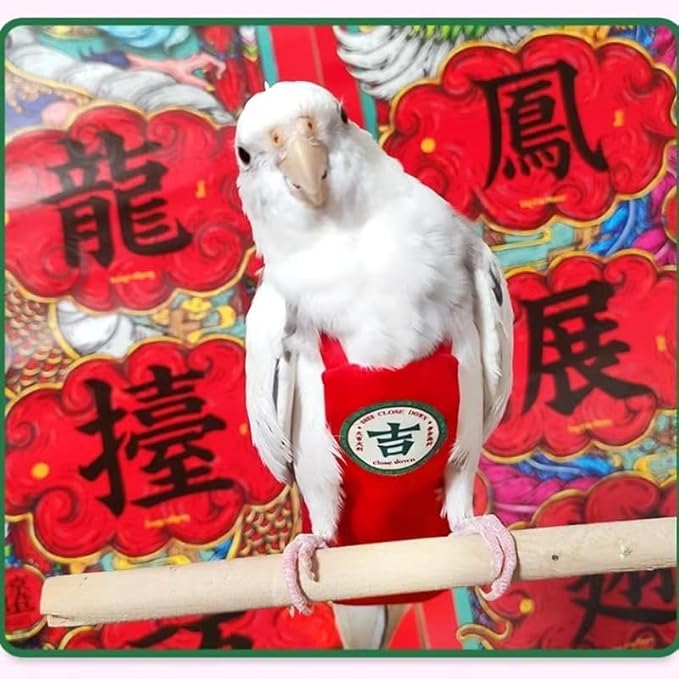 MANON ROSA Bird Diapers Leash Set Washable Reusable Handmade Flight Suit Waterproof Inner Layer - Protective Parrot Nappy Clothes Parakeets Macaws Budgies Canaries (Black2,Budgie)