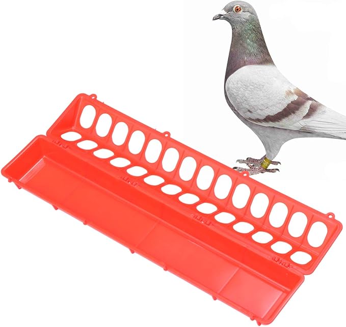 Pigeon Feeder Slot Container Fowl Feeding Dish Pigeon Storage Trough Bird Food Dispenser Parrot Feeder Duck Food Bowl for Poultry (Red)