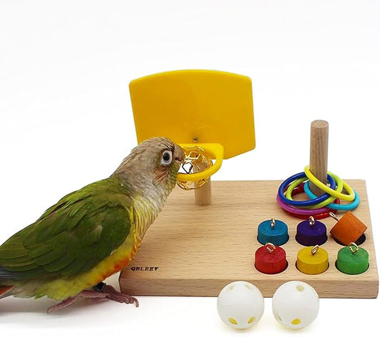 QBLEEV Bird Toys - Budgie & Parrot Training Toys, Color Ring Sets, Chew Ball & Play Gym