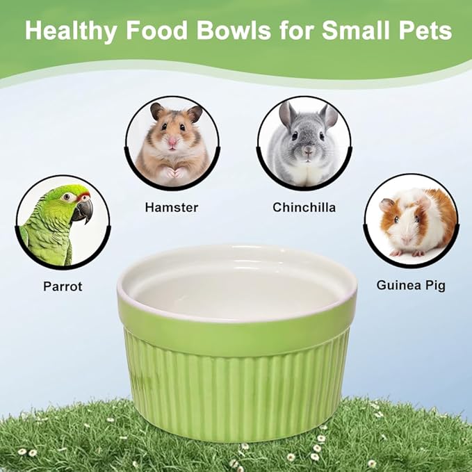 Bird Feeder for Cage Bowl, Ceramic Parrot Feeding Cups - Automatic Easy to Clean & Install, Dishwasher Safe Small Animal Food Water Bird Dish for Parrots, Cockatiels, Canaries(Green)