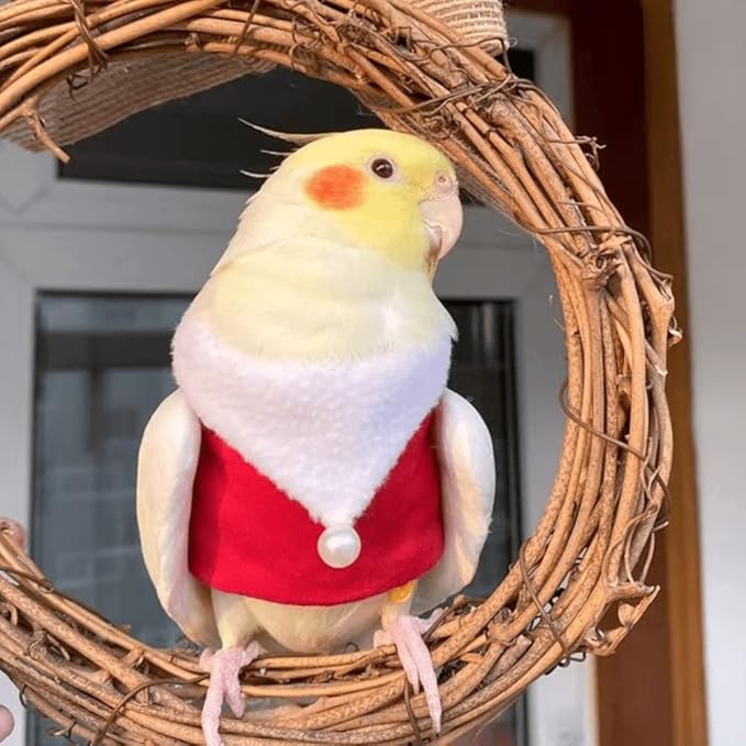 Bird Clothes Birds Flight Suit, Christmas Hoodie for Parrots Cockatiel Sun Conure Christmas Party Cosplay Photo Prop Bird Shirt Small Animals Apparel (A,Red-Fronted Parrot)