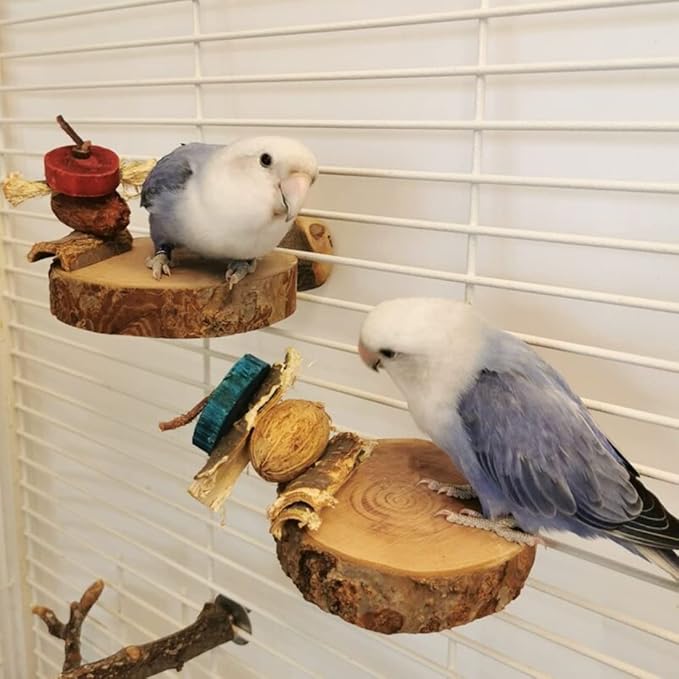 2PCS Natural Wood Perch Stand with Chewing Toy for Small Medium Pet Bird Parrot Budgie Parakeet Cockatiel Conure Lovebird Finch Canary Hamster Gerbil Rat Chinchilla Squirrel Cage Platform (Small)