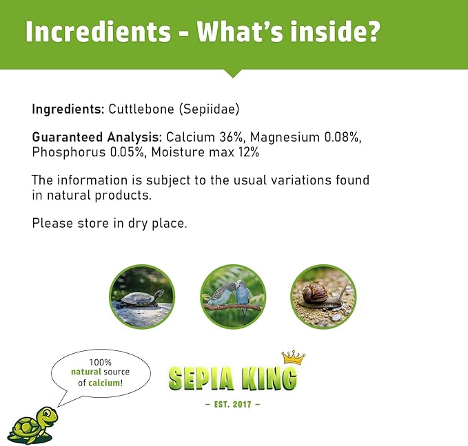 Sepia King - Extra Large - 100% Natural Calcium Supplement - Premium Cuttlebone Perfect for Birds, Tortoises, Snails, Reptiles - Pack of 3