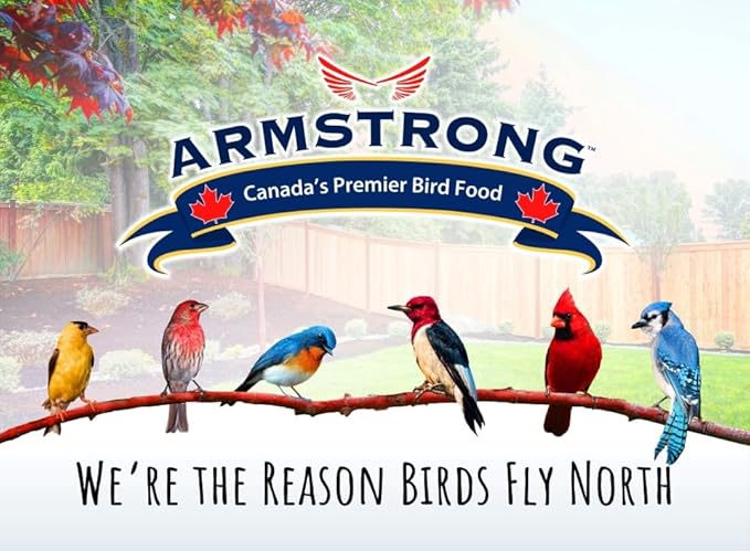 Armstrong Bird Food Gourmet Blend, 33 Pounds - with White & Red Millet, Cut Corn, Wheat, Black Oil Sunflower, Striped Sunflower, Peanuts & Safflower for Blue Jays and Northern Cardinals