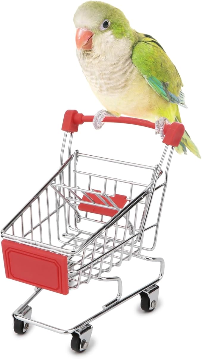 Hypeety Bird Toys Mini Shopping Handcart Trolley Parrot Intelligence Training and Playing Toy for Parakeets Budgies Cockatiel Conures Caique Quaker Lovebirds (Red)
