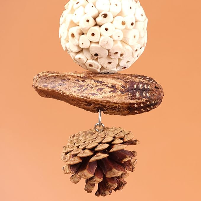 Bird Chew Toy for Pet Bird Parrot Sola Ball Natural Nuts Pinecone Chewing Toy for Small Parakeet Cockatiel Conures Finch Budgie (L)