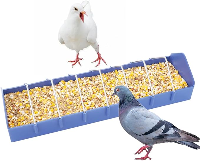 4 Pack Large Pigeon Feeder 8 Slot Thick Durable Container Feeding Dish Food Dispenser Tool for Bird Parrot Pigeon Chicken Duck Bird Poultry
