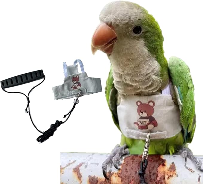 Bird Flight Harness Vest, Parrot Flight Suit with Leash for Parakeets Cockatiels, Bird Flying Clothes with Rope and Handle for Outdoor Activities Training (Bear with Leash,Medium)