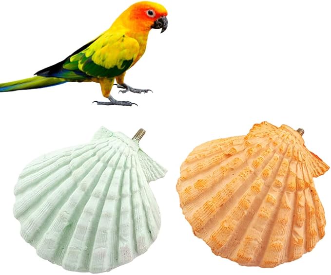 Parrot Perch Stand - 2PCs Shell Shape Squirrel Hamster Teeth Mouth Molar Grinding Stone Parrot Beak Stone Stand Platform