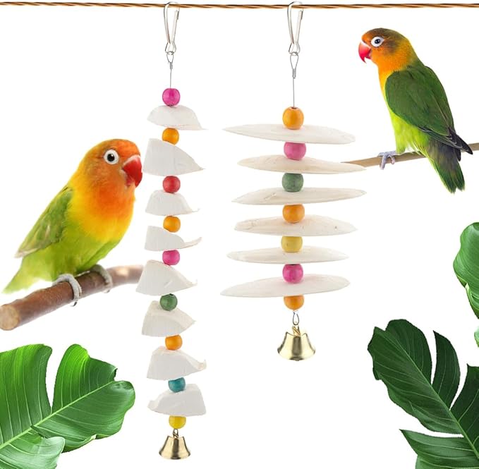 DQITJ 2 Pack Cuttlebone Chew Toy Natural Calcium Cuddle Bone Bird Beak Grinding Toy for Small Bird Budgie Cockatiel Lovebird Parakeet