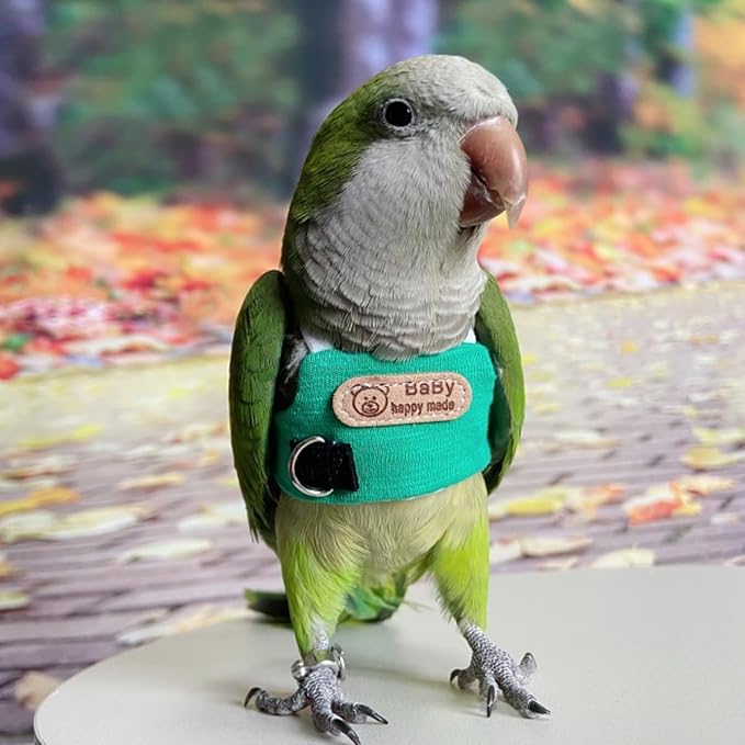 Bird Flight Harness Vest, Snap-Fastener Design Harness Vast, Parrot Flight Suit with Leash for Parakeets Budgies, Bird Flying Clothes with Rope and Handle for Outdoor Activities Training, Anti Bite