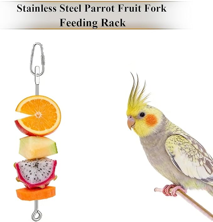 Bird Cage Food Holder Parrot Fruit Vegetable Skewer Hanging Stainless Steel Feeder for Parakeet Cage Accessories Premium Bird Cage Accessories for Cockatiel Conure Practical Present