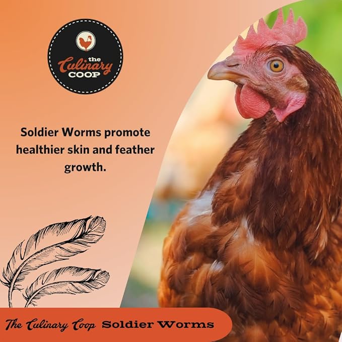 Fluker's Culinary Coop Bulk Dried Soldierworms, Premium Organic Dried Soldierworms for Chickens-High Protein & Omega3 Chicken Feed for Wild Birds, Reptile,& Chicken Treats for Laying Hens, 10lbs
