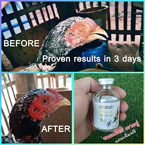 EXTER Sure Rooster Booster Health Vitamin Support Fast Result, Stimulates & Improved Immunity Feed Nourishing Poultry (EXTER Sure Increasing Fast Energy 10 ML.)