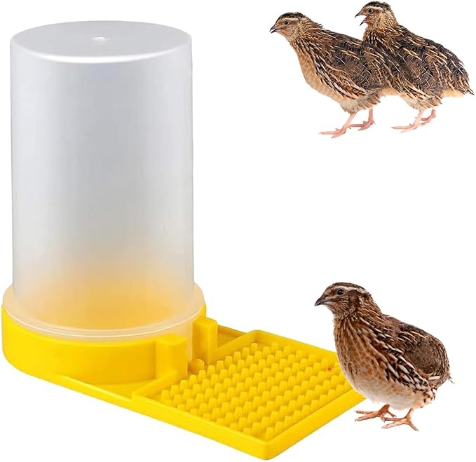 Large Capacity Quail Water Feeder, Quail Feeder, Baby Bird Button Quail Yellow Water Feeder, for Cage, Baby Chick Waterer, Ideal Feeders for Baby Bird