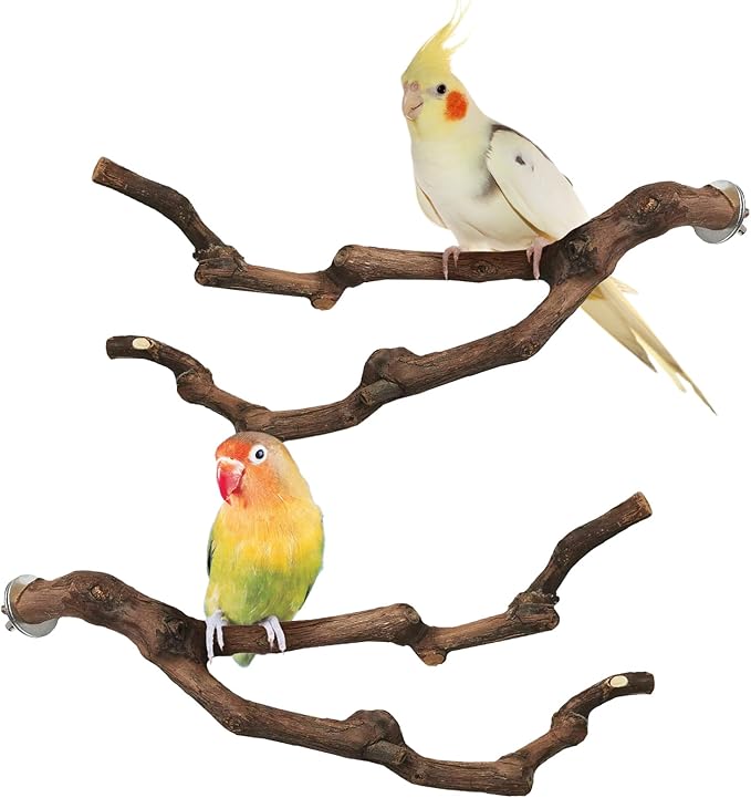 PINVNBY Natural Parrot Perch Grape Wood Bird Stand Pole Parakeet Paw Grinding Fork Chewable Climbing Branches Toy Bird Cage Accessories for Budgies Conures Cockatiels Lovebirds (2 PCS, 7.9IN)