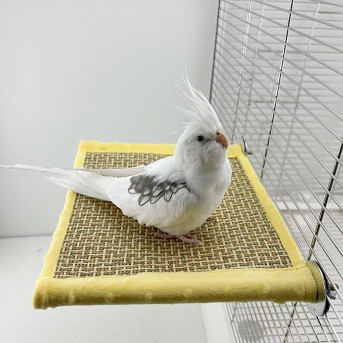 Bird Reversible Platform Bed Hammock Toy Hamster Warm Comfortable Hanging House Perch Stand for Parrot Parakeet Cockatiel African Grey Cockatoo Lovebird (Green,S)