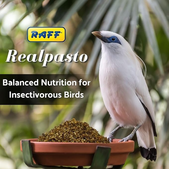 RAFF Realpasto Insect Bird Food Diet 5Lb - High-Protein for Worm-eating Bird Feed and Aviary Food Mix for All Insectivorous Species - Supports Plumage Color and Stimulates Singing Naturally