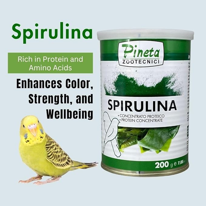 PINETA Spirulina Powder Organic 200g - Spirulina Supplement Bird Food for Canaries and Granivorous Birds - 100% Natural, Immune Support Supplement, Promotes Healthy Molting, Bright Feathers