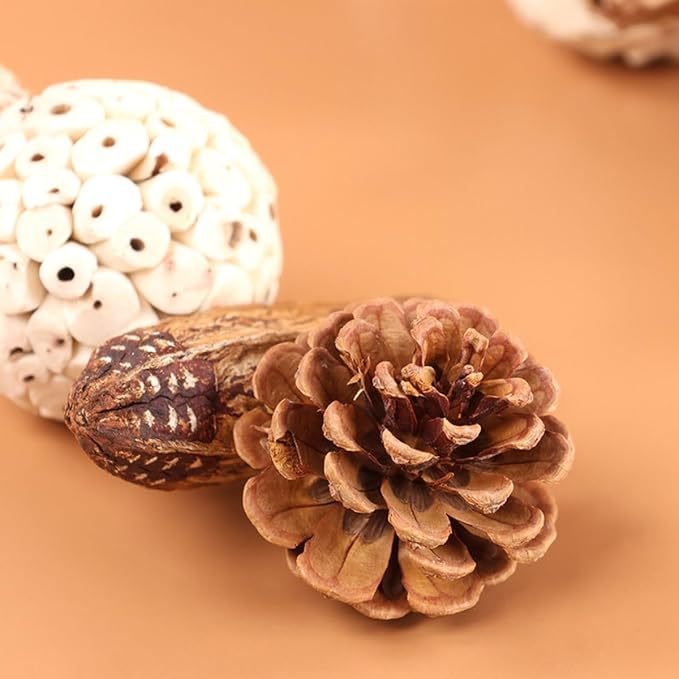 Bird Chew Toy for Pet Bird Parrot Sola Ball Natural Nuts Pinecone Chewing Toy for Small Parakeet Cockatiel Conures Finch Budgie (L)