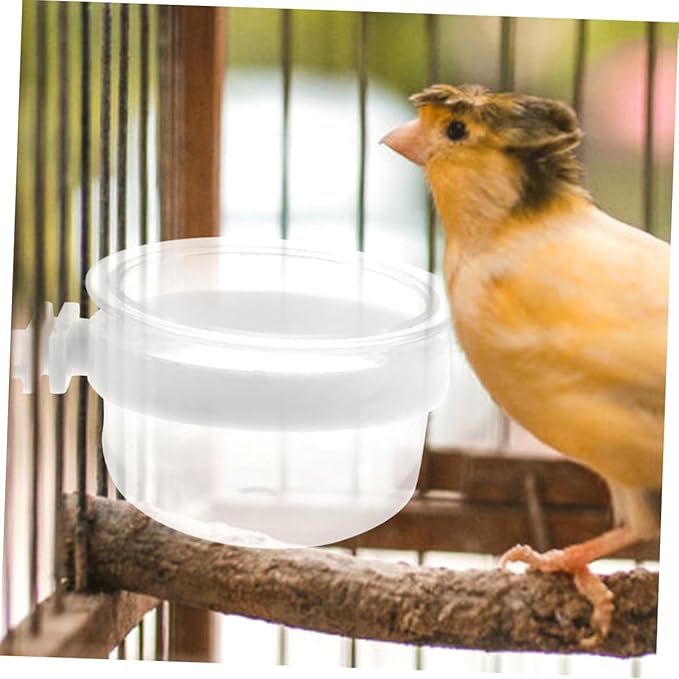 BESPORTBLE 4pcs Removable Parrot Feeder Dish Plastic Bird Food Bowl for Easy Hanging for Parrots and Pets Sturdy and Convenient Design