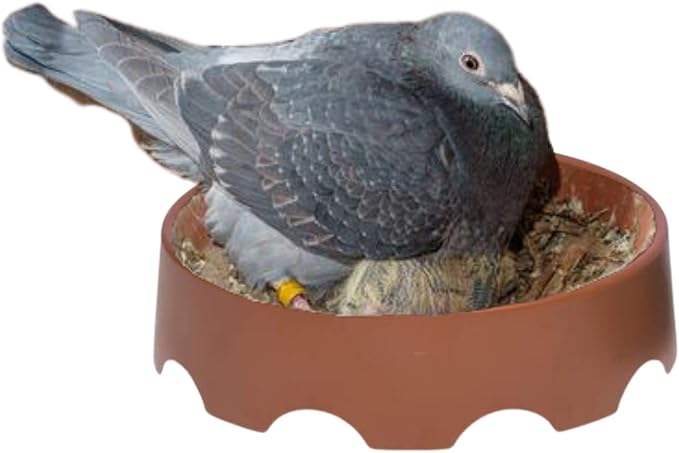 Racing Pigeon Nest Bowl,Plastic Bird Nest Bird Cage Breeding Hatching Nest for Pigeons, Doves,Quails and Small Birds,Pet Cage Supplies Nido para Palomas Mensajeras Buchones (4 Units)