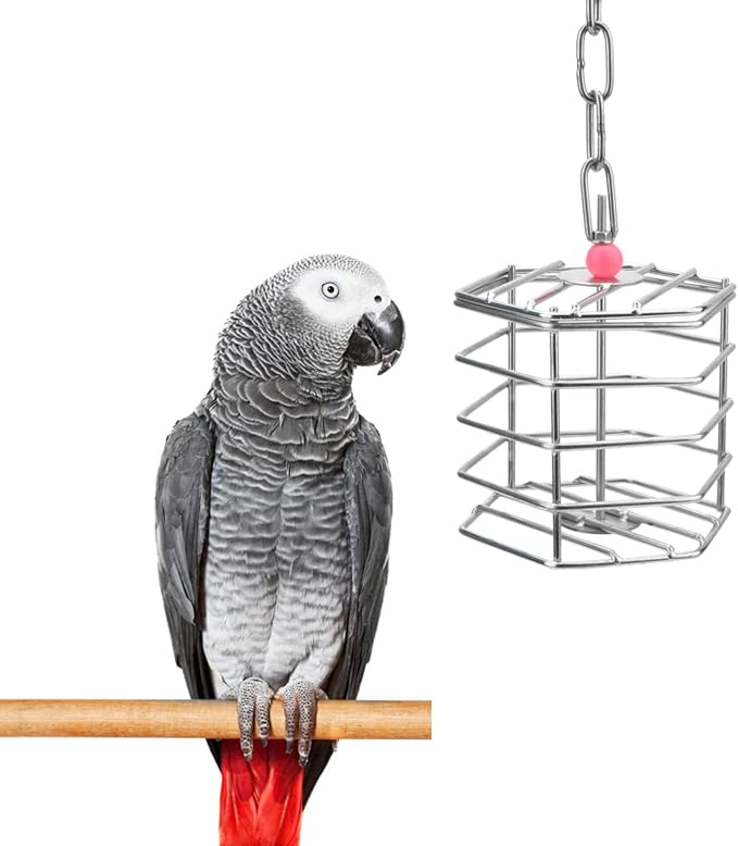 Bird Stainless Steel Foraging Feeder Parrot Hanging Feeding Box for Macaw African Grey Cockatoo Cockatiel Amazon Cage (Foraging Feeder)
