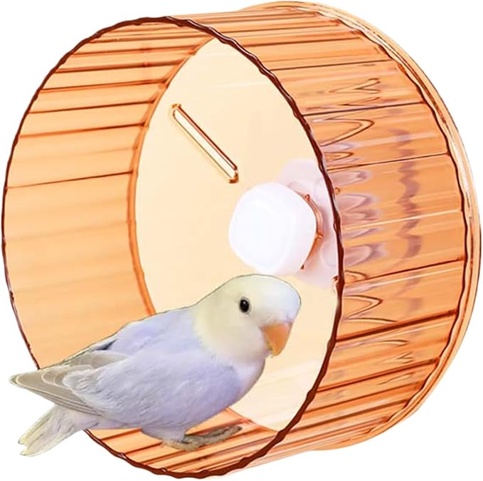 Bird Wheel Toy, Silent Parrot Exercise Wheel Interactive Rotating Toy for Small Medium Birds - Parakeets Cockatiels Conures Lovebirds Finches - Bird Cage Enrichment Accessory (L (8.3''D),Orange)