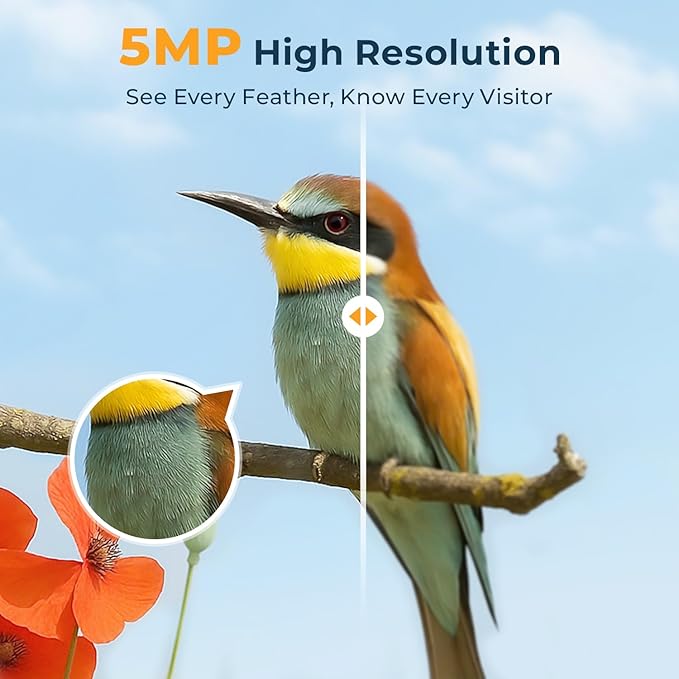 Bird Feeder with Camera, 2.5K HD Smart Bird Feeder Cam Outdoor with AI Recognition, Instant Arrival Alerts, Auto Capture Birds Videos, IP66 Waterproof Solar Powered, Ideal Gift