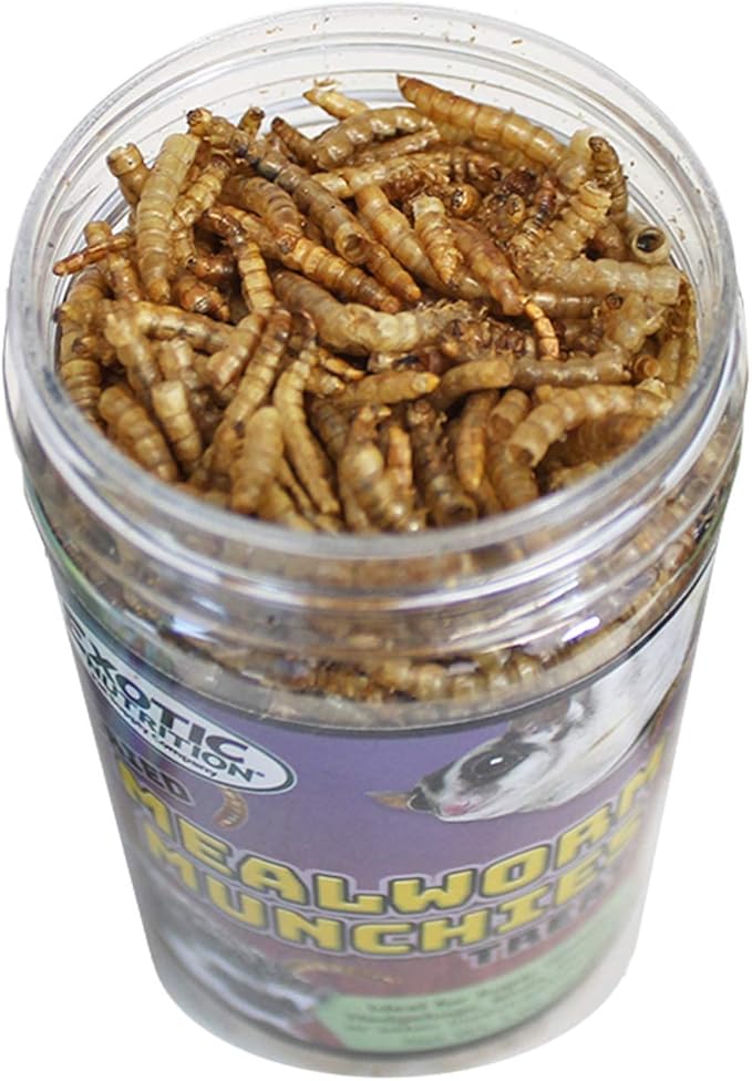 Exotic Nutrition Mealworm Munchies (1.9 oz.) - All Natural Healthy High Protein Insect Treat - Chickens, Birds, Hedgehogs, Bluebirds, Reptiles, Sugar Gliders, Opossums, Skunks, Lizards, Fish