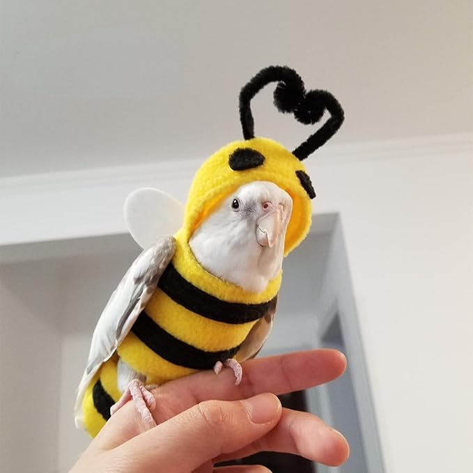 Bird Costume Diaper Flight Suit Bee Shape Hoodie Clothes Cosplay Photo Prop for Parrots Parakeet Cockatiel Sun Conure, Small Animals Apparel (Bee with Diaper, X-Large), Green (BPF1)